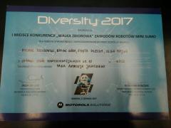 DIVERSITY 2017